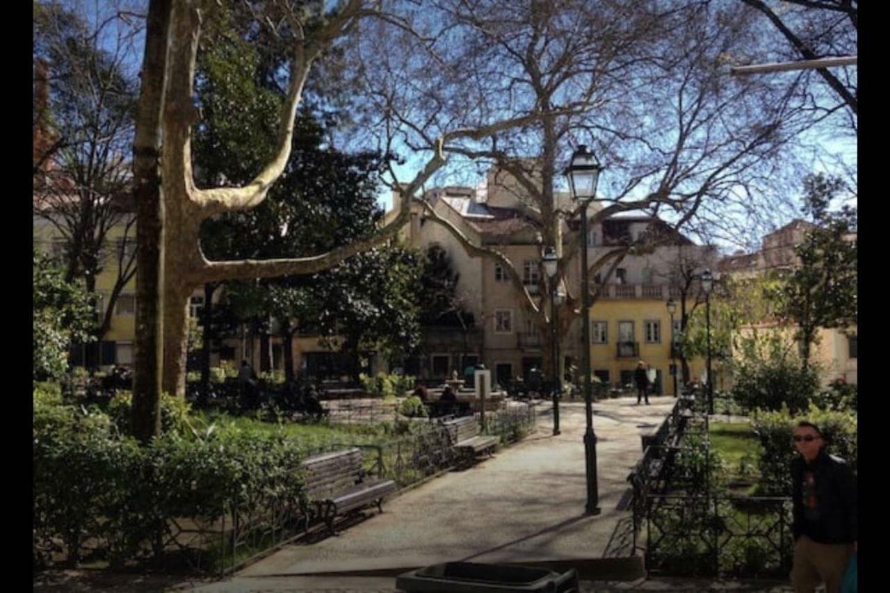 New Charming Flat - Lisbon Center 아파트 외부 사진